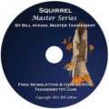 squirrel_1
